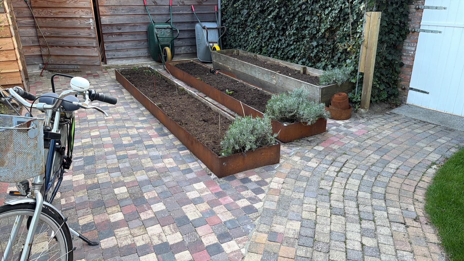 Beplanting & tuinontwerp